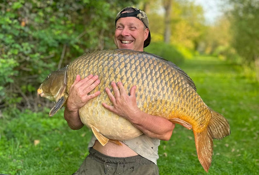 Huge Common tamed by the Monsta & Cornz